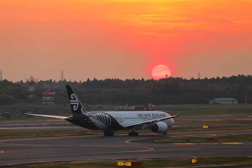 夕日のB787