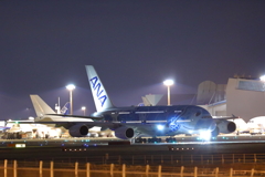 A380フライングホヌ