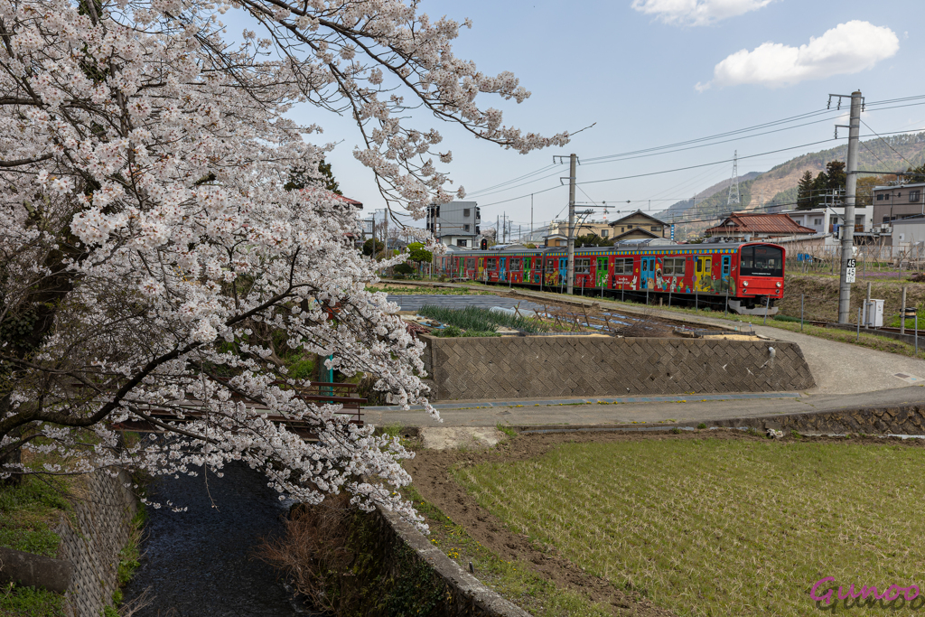 20230401158-CR3_DxO_DeepPRIME
