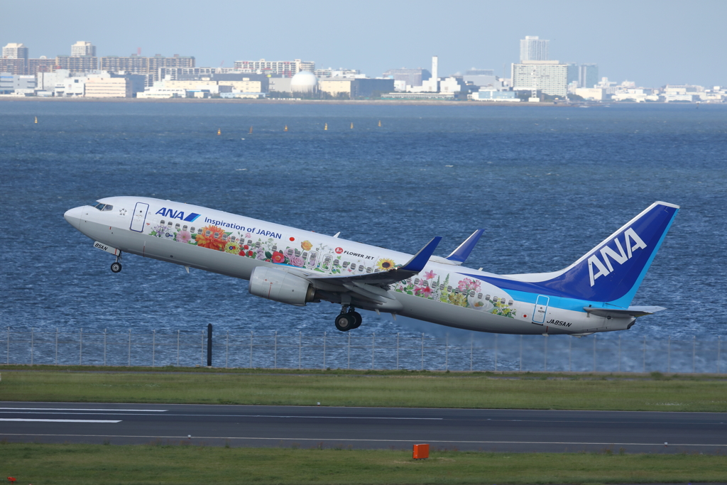 東北フラワージェット