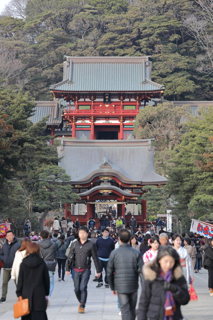 鶴ヶ丘八幡宮