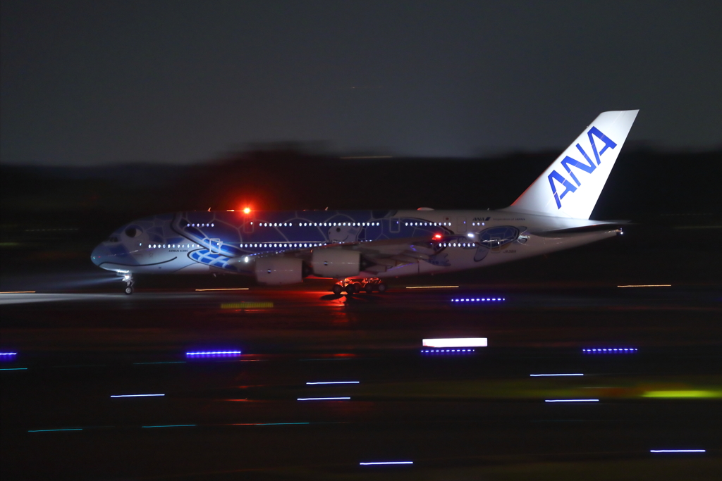 A380 フライングホヌ