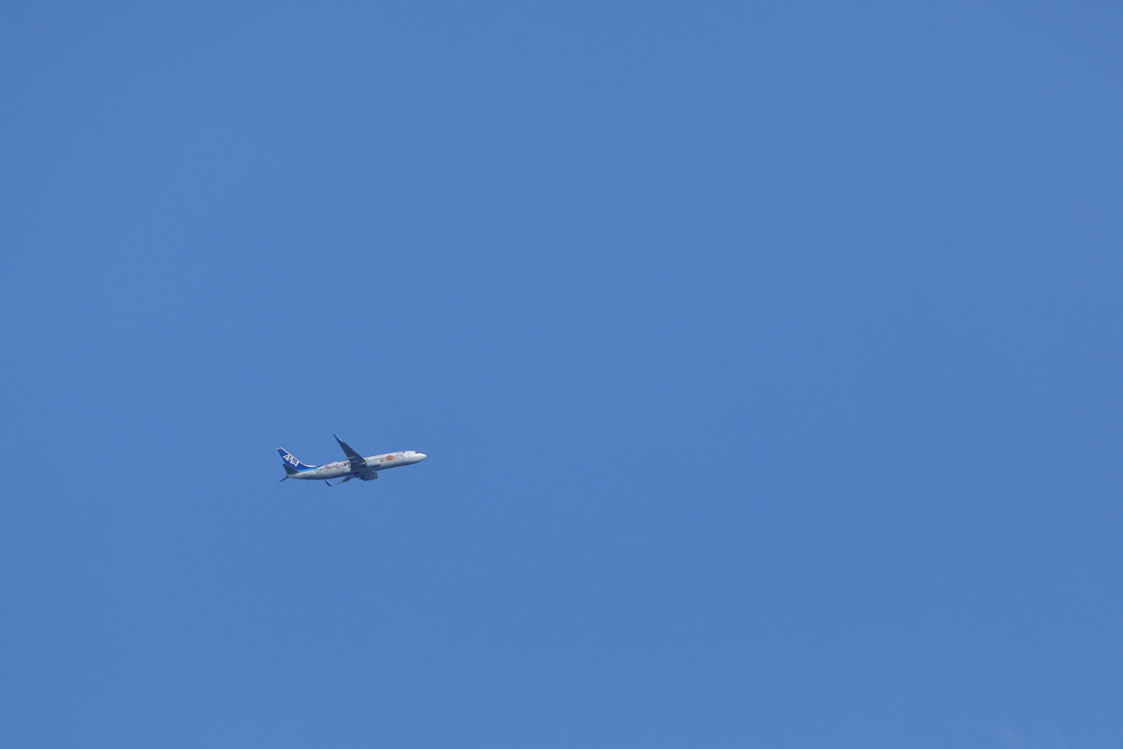 フラワージェット