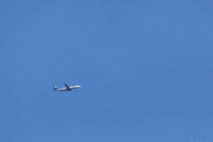 フラワージェット