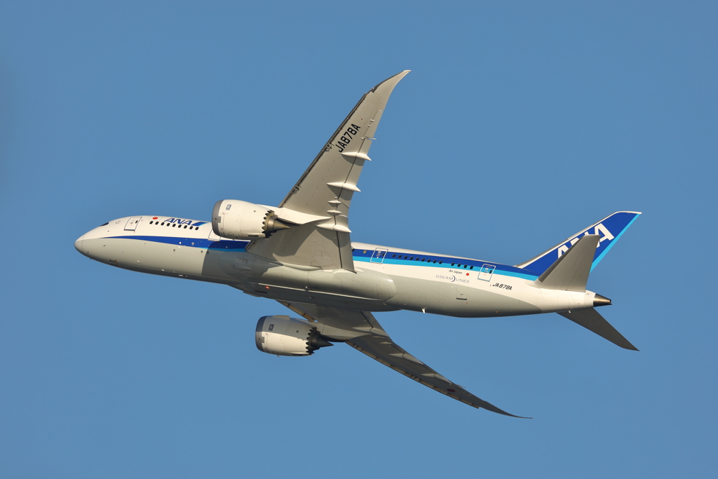 B787