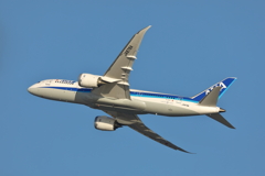 B787