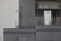 ホールインワン
