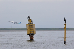 ガルーダインドネシア航空