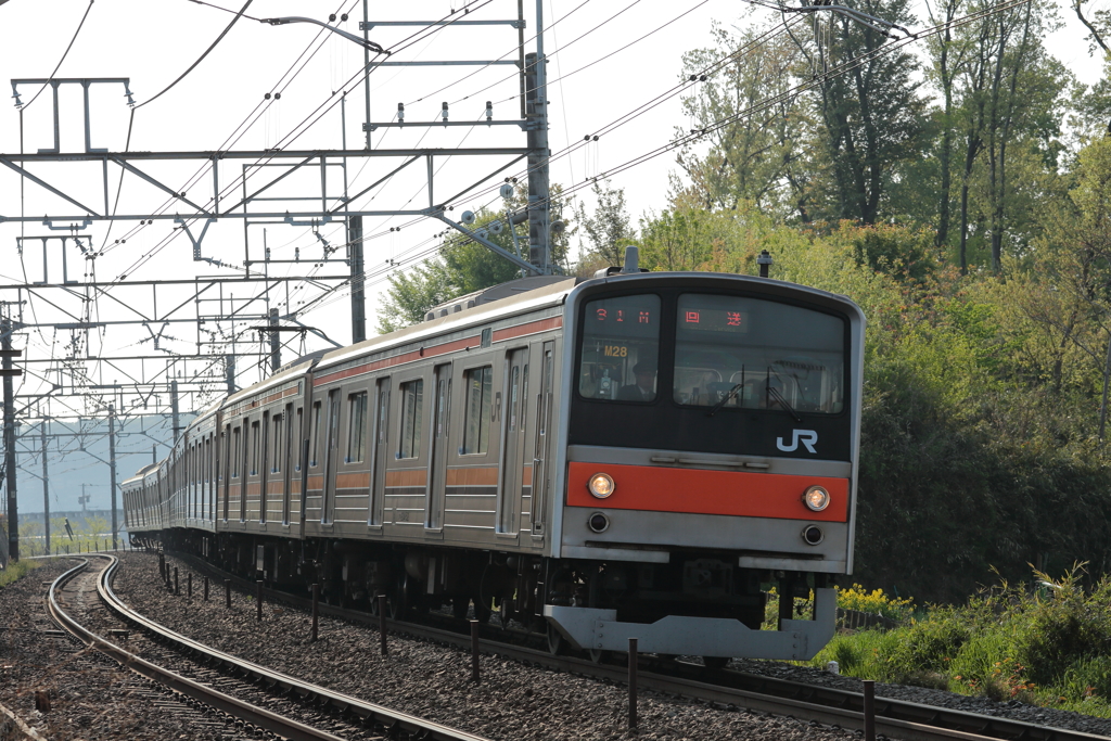 205系むさしの号