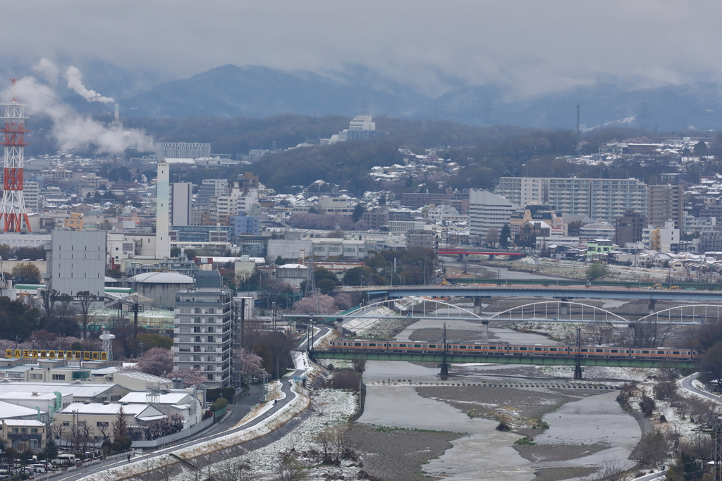 降雪の八王子