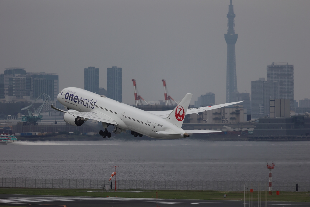 イケメンワンワ