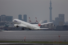 イケメンワンワ