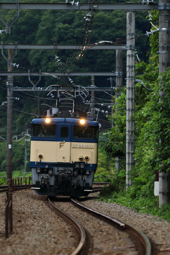 EF61-1031
