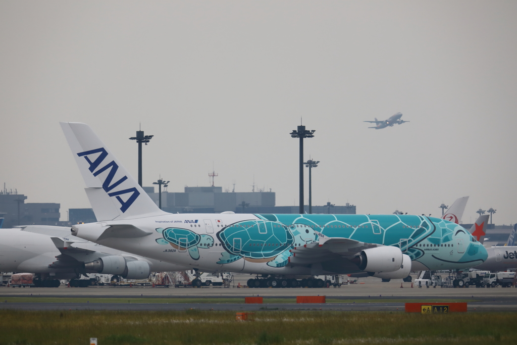 A380　フライングホヌ