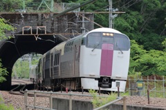 ２１５系　ホリデー快速ビューやまなし