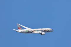 ARASHI JET