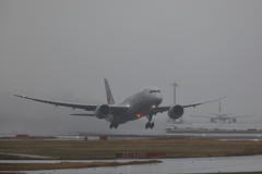B787JAL