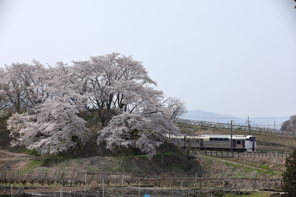 215系