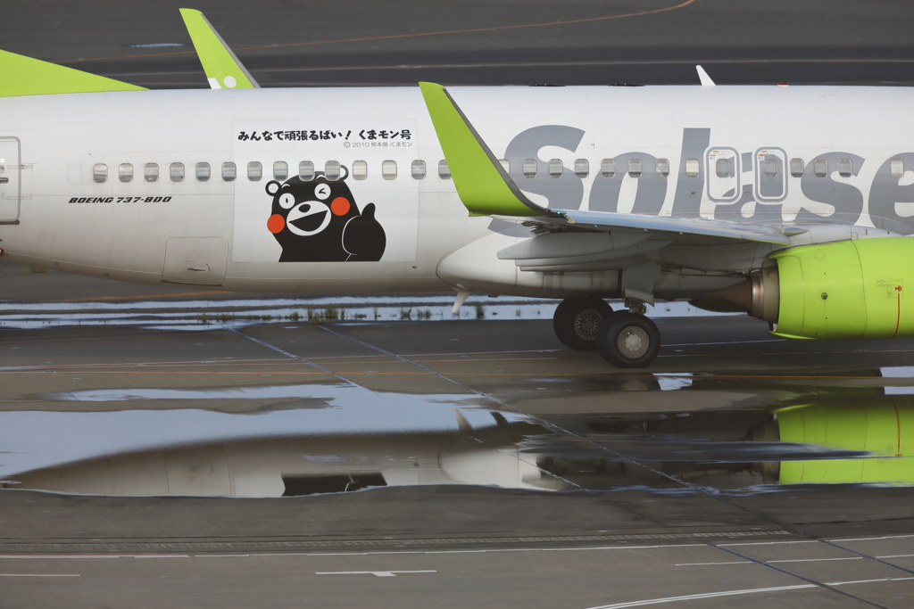 くまモン