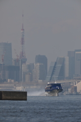 セブンアイランド結