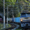 EF66 27