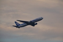 B767