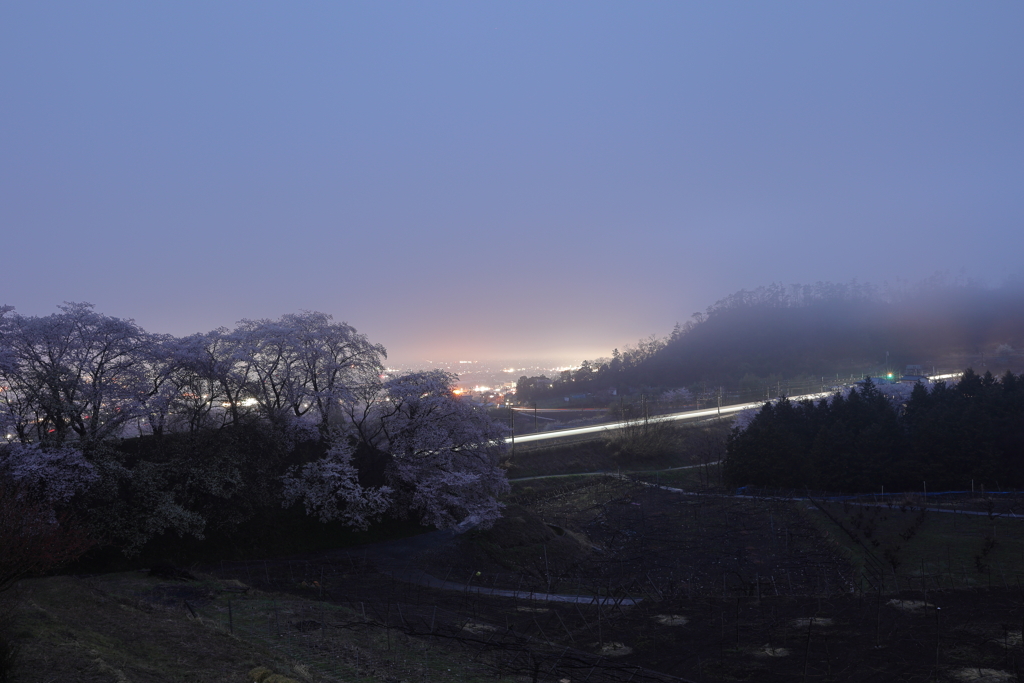 勝沼霧夜景