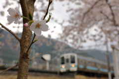 211系