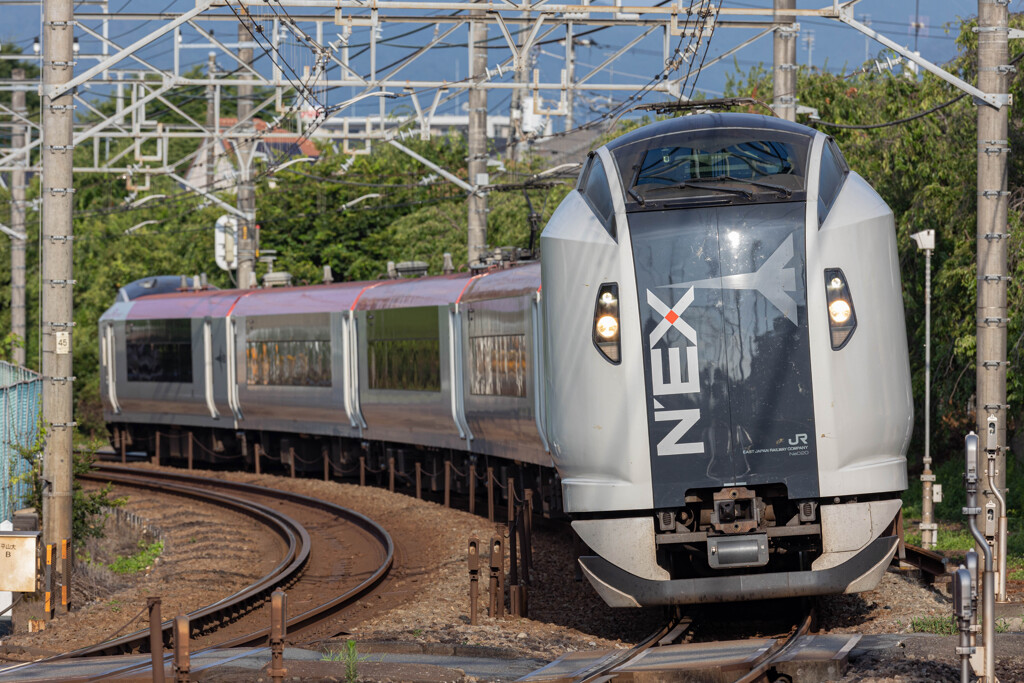 E259