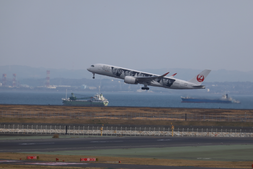 ARASHI350