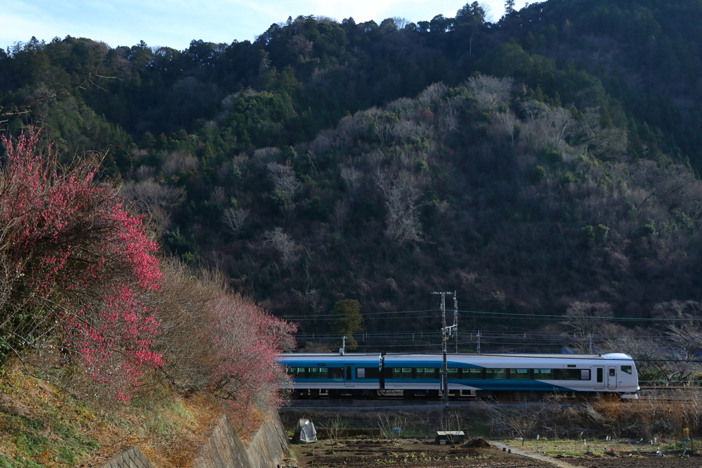 E257-2000　NA-05編成