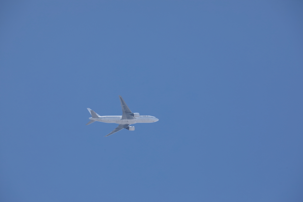 ローアングルｗｗ