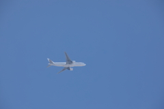 ローアングルｗｗ