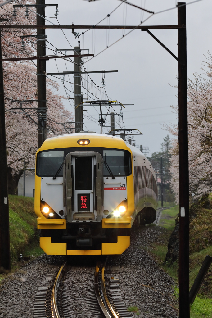 E257-500　富士回遊