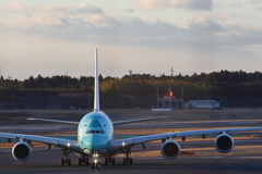 A380フライングホヌ