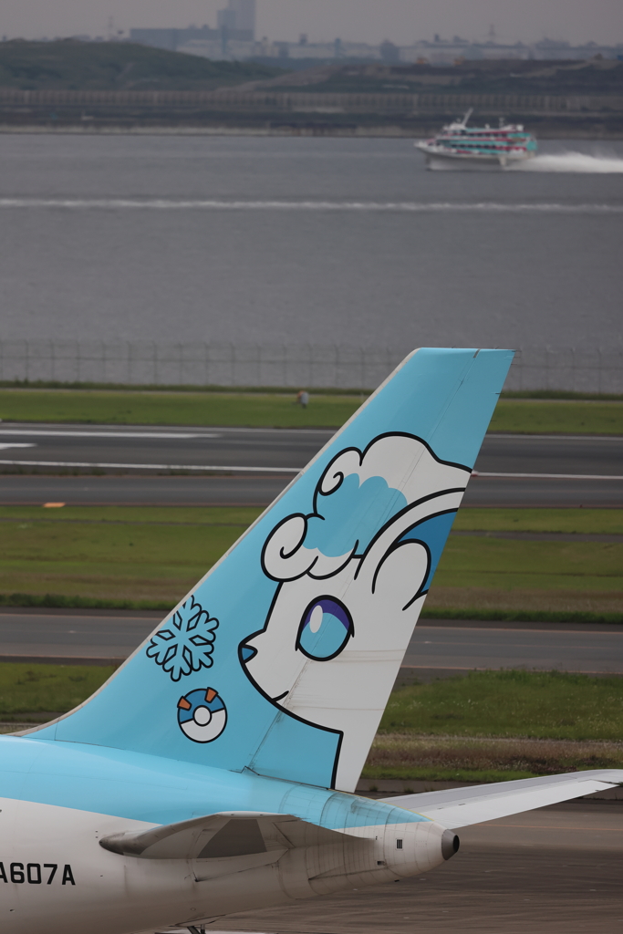 ジェットフォイルｘロコン