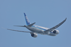 787