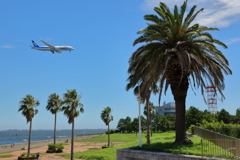夏787