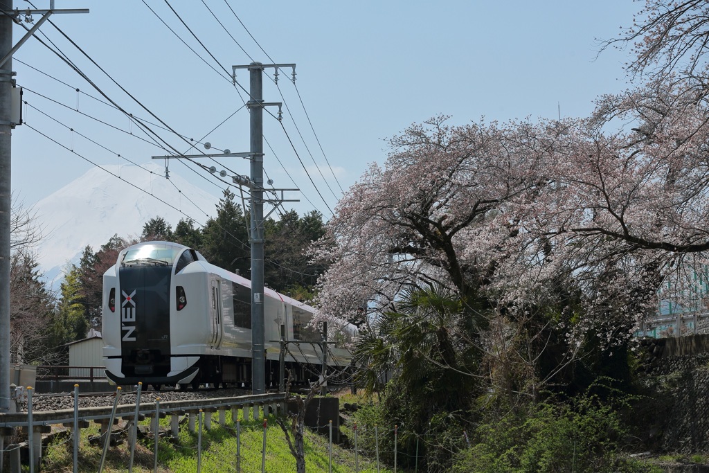 E259成田エクスプレス