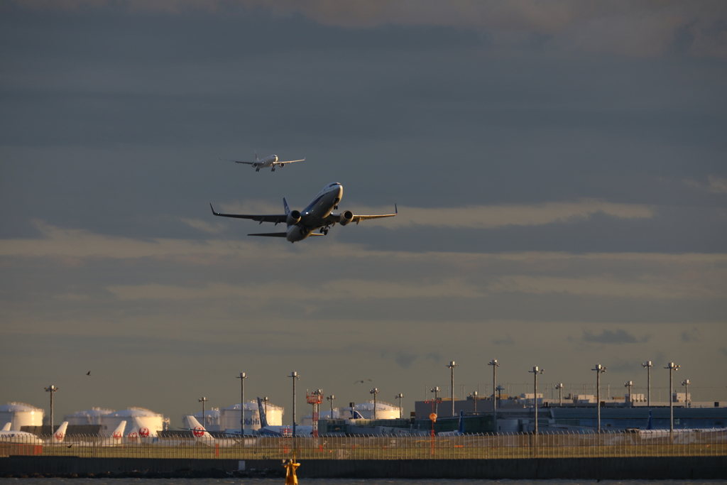 ラッシュ(￣▽￣;)