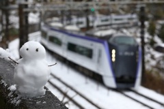 雪だるま353