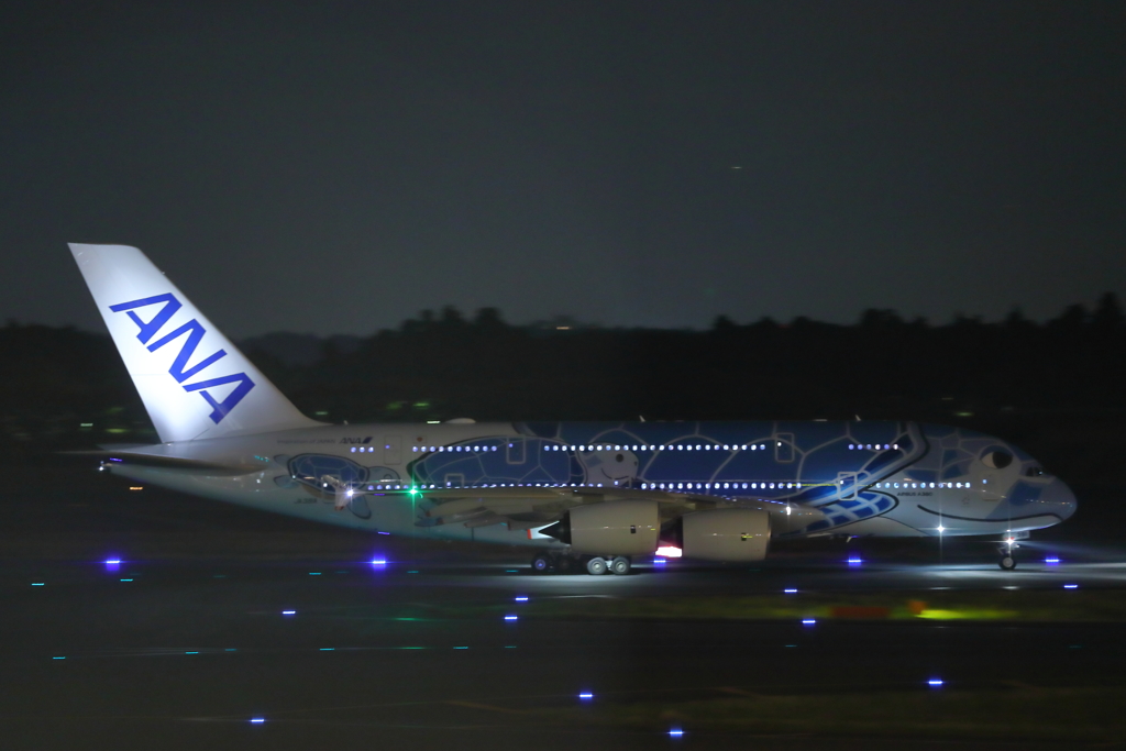 A380　フライングホヌ