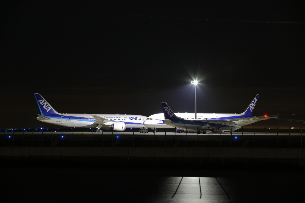 京浜島つばさ公園