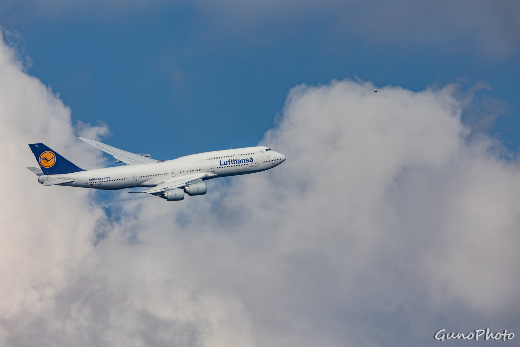 Lufthansa　B747