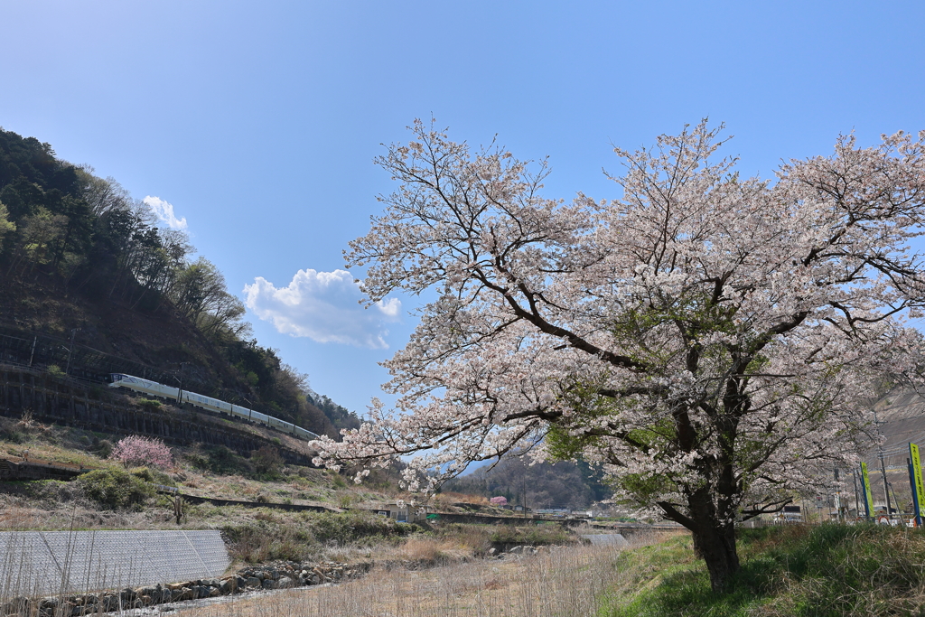 四季島