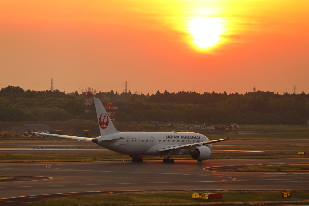 夕日のB787