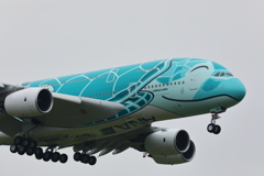 A380 フライングホヌ