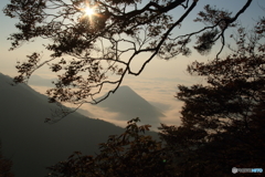 大江山の雲海