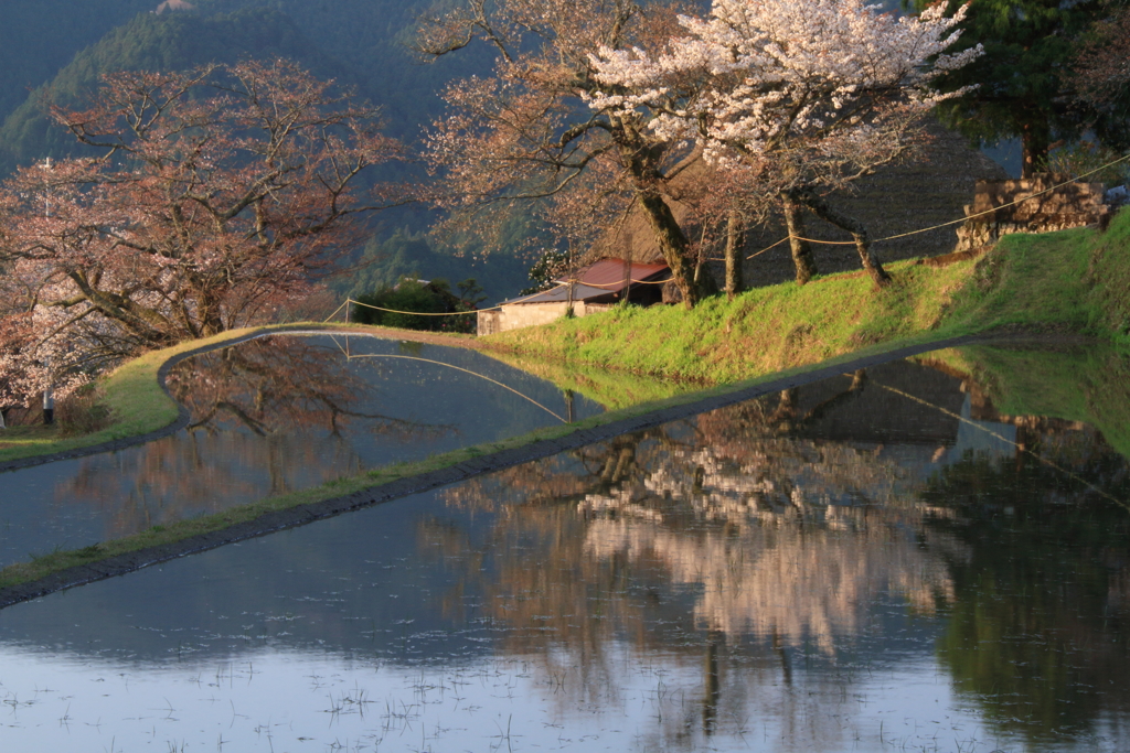 朝日を浴びて１