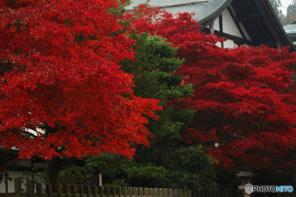 高野山２